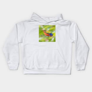 Painted Bunting painted by me Kids Hoodie